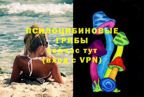 гашик Кинешма