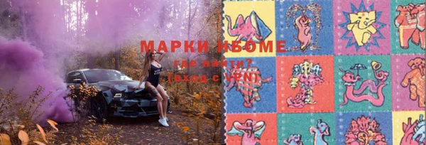 ПСИЛОЦИБИНОВЫЕ ГРИБЫ Касимов