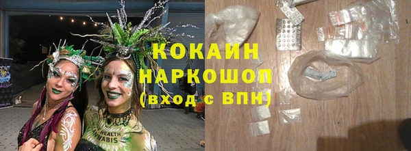 ПСИЛОЦИБИНОВЫЕ ГРИБЫ Касимов