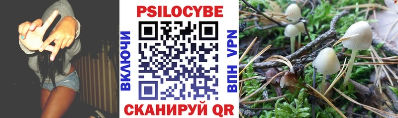 Галлюциногенные грибы MAGIC MUSHROOMS  Качканар 