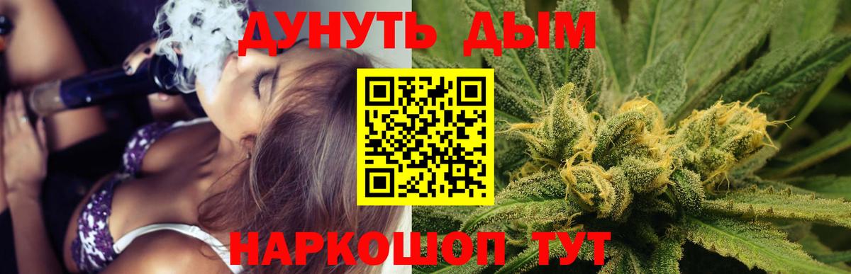 Канабис сатива  Каннабис марихуана  МАРИХУАНА план  Вход с VPN  Качканар 